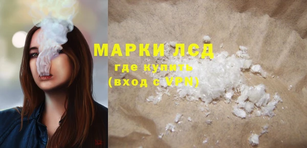 прущие грибы Верхний Тагил