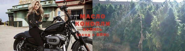 прущие крисы Верея
