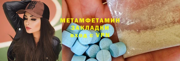прущие грибы Верхний Тагил