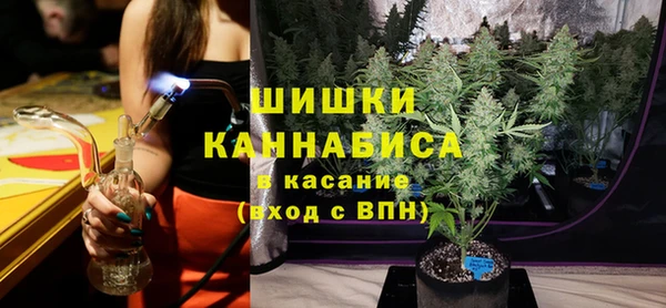 прущие грибы Верхний Тагил