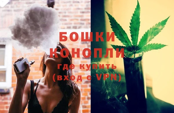 прущие грибы Верхний Тагил