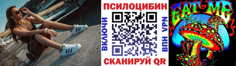 Купить где  Грязовец  Галлюциногенные грибы Psilocybe 